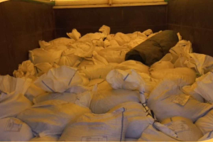 Ekspor Perdana 2026: 8 Ton Gula Kelapa Kalbar Tembus Pasar Luar Negeri via PLBN Entikong