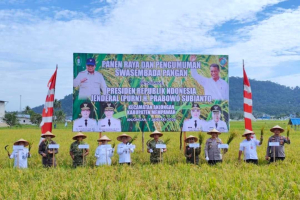 Optimalkan Lahan Tidur, Wagub Krisantus Targetkan Kalimantan Barat Mandiri Pangan di Tahun 2026