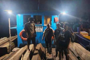 Modus Baru Kayu Ilegal di Batam: Gakkum LHK Limpahkan Dua Aktor Utama ke Jaksa