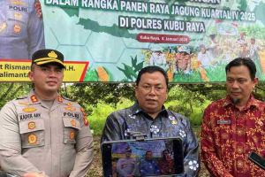 Dukung Astacita Prabowo, Polres Kubu Raya dan Pemkab Panen 117 Ton Jagung Pipil