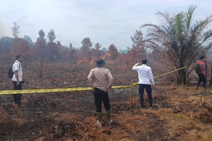Ancaman Penjara 15 Tahun Menanti Pembakar Lahan di Kuala Mandor, Polisi Pasang Garis Polisi di Lokasi