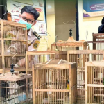 Tak Berdokumen, 1,6 Ton Telur Hingga Kulit Sapi dan Burung Kicau Ditahan Karantina Kalimantan Barat